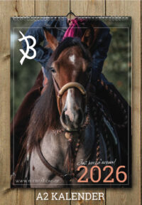2026 B-Creations Just horsing around Kalender